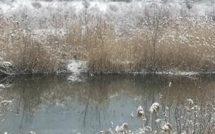 八月十五云遮月和正月十五雪打灯哪个在前 正月十五雪打灯上一句